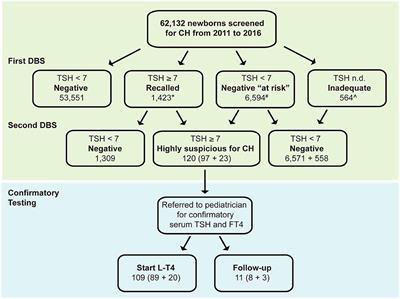 A Detailed Analysis of the Factors Influencing Neonatal TSH: Results From a 6-Year Congenital Hypothyroidism Screening Program